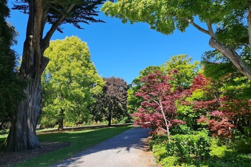 Christchurch City Top Sights Half Day Tour 