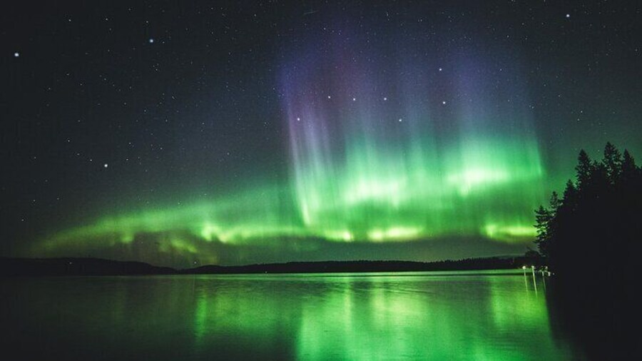 Dancing Lights in the Sky on an Aurora Mini Van Tour Adventure