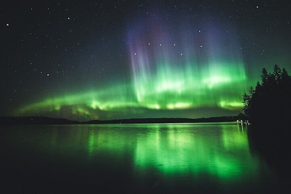 Dancing Lights in the Sky on an Aurora Mini Van Tour Adventure