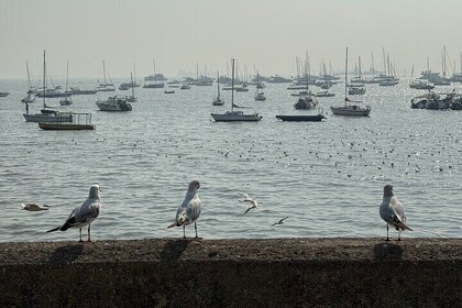 A Symphony of Seven Islands - Discover Mumbai's storey in One Day