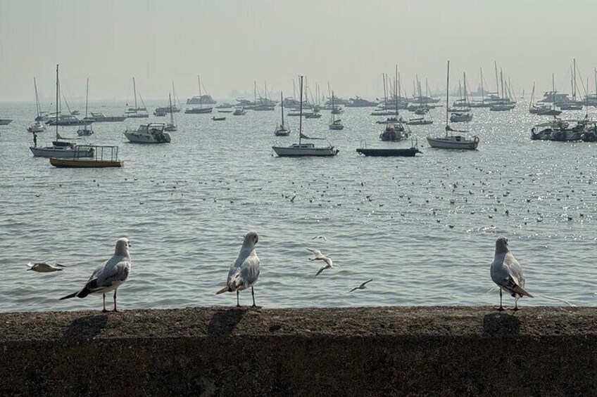 A Symphony of Seven Islands - Discover Mumbai's story in One Day