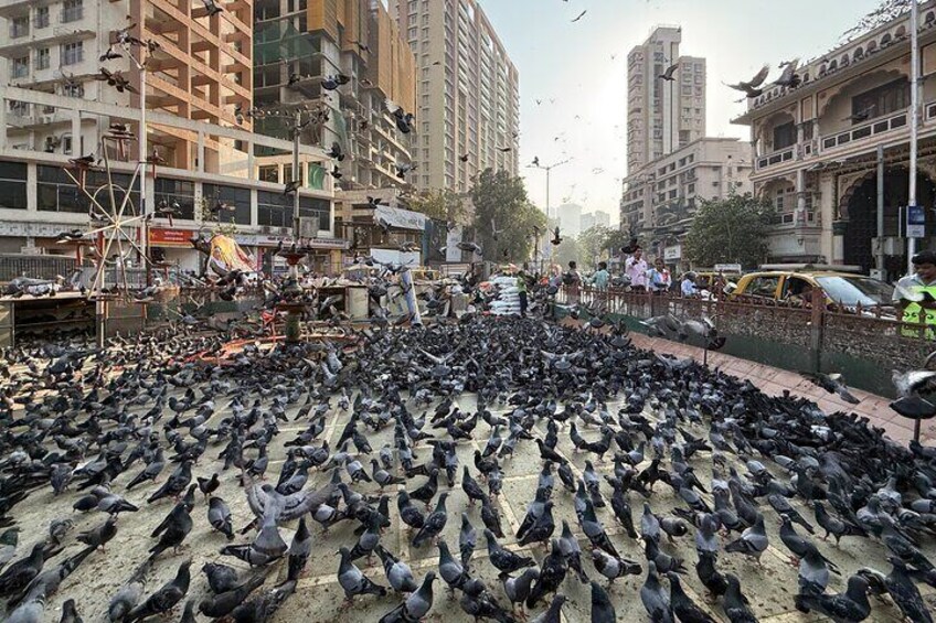 A Symphony of Seven Islands - Discover Mumbai's story in One Day