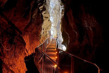 Private Day Tour of Ruakuri Cave, Glowworm and Hobbiton Film Set