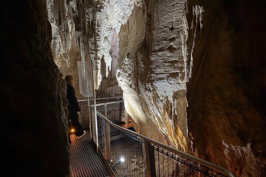 Private Day Tour of Ruakuri Cave, Glowworm and Hobbiton Movie Set