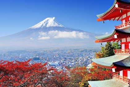 Mount Fuji Private Tour from Tokyo