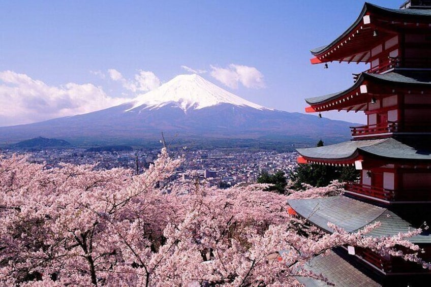 Mount Fuji Private Tour from Tokyo