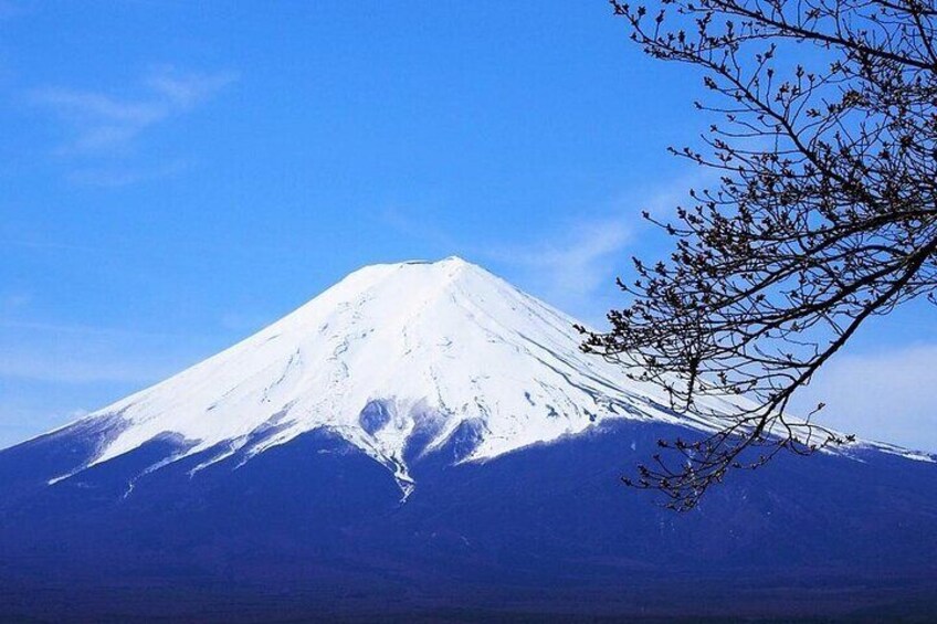 Mount Fuji Private Tour from Tokyo