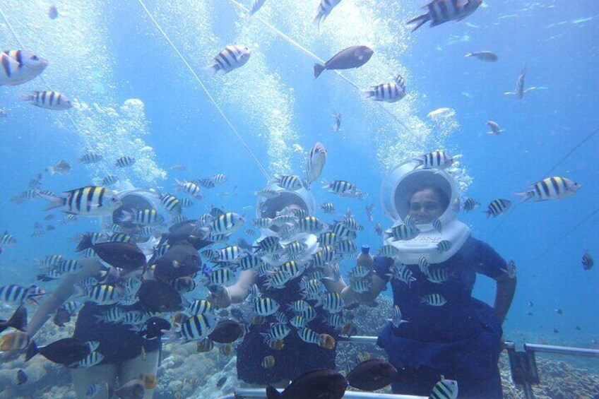 St Maarten SeaTrek and Snorkeling Adventure