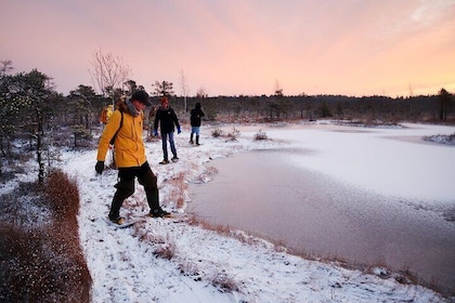 Snowshoing tour in Kemeri National Park