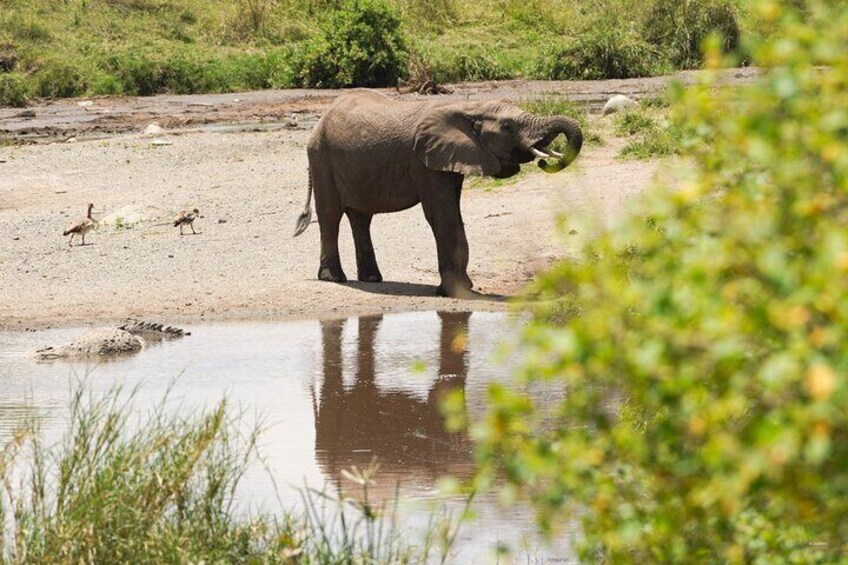 9 Days Private Camping Safari