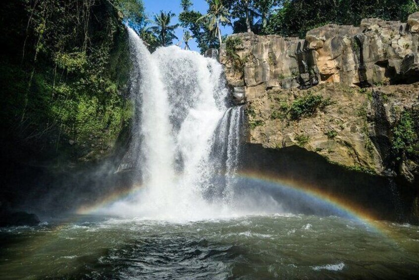 Ubud Highlights Day Tour with Bali ATV and Rafting