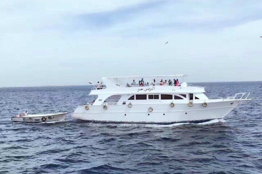 Private Red Sea from Cairo Yacht Tour