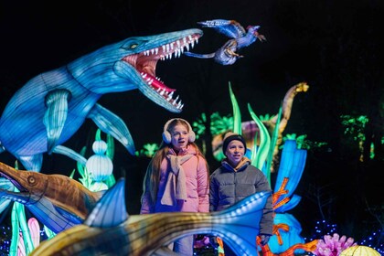 Hilvarenbeek: Light Safari at Beekse Bergen