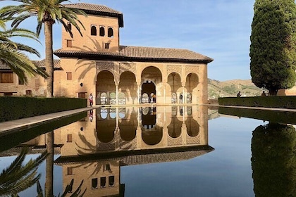 Madrid: Private Tour Discover Granada and La Alhambra