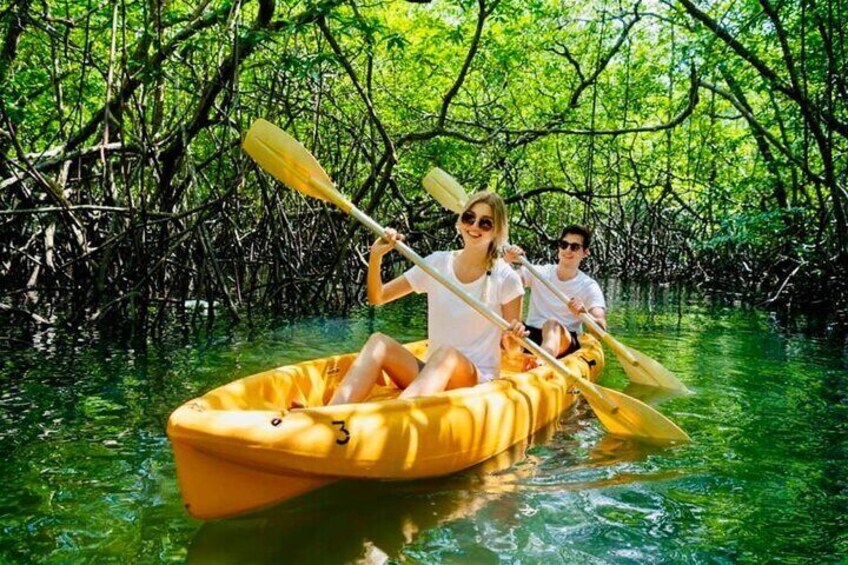 Hiking Rain Forest and Kayaks 