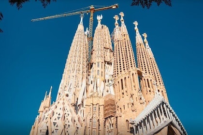 Guided Tour of Barcelona and Ticket to the Sagrada Familia Without Lines