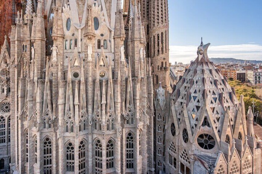 Guided Tour of Barcelona and Ticket to the Sagrada Familia Without Lines