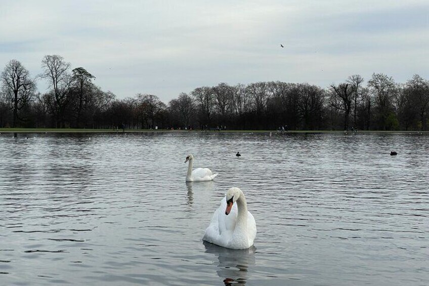 Self-Guided Tour of Kensington and Hyde Park Using a Mobile App