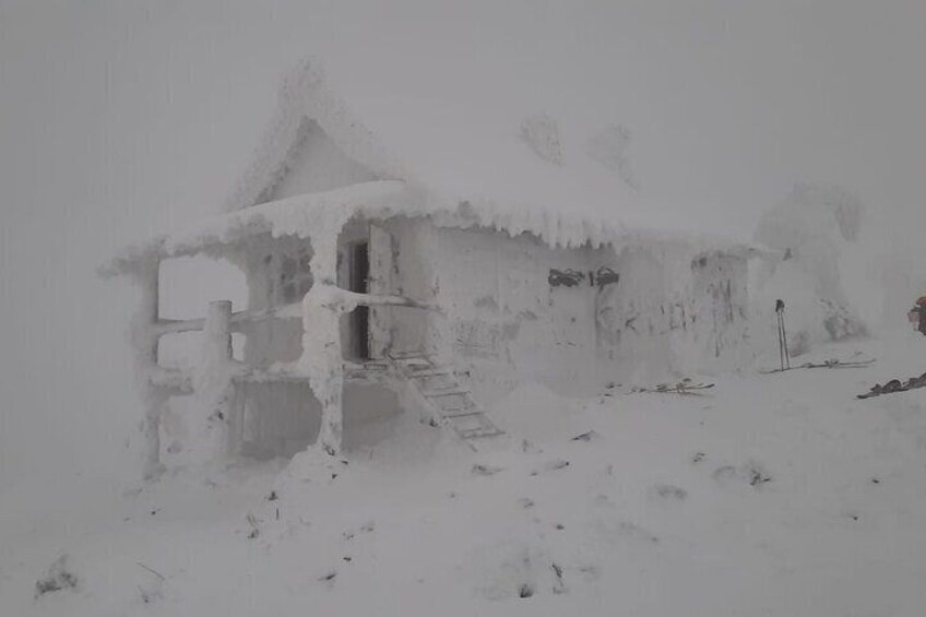 Levi Snowshoeing on Santa's Cabin Shared Experience