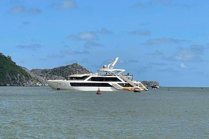 Isla Cat Ba: El crucero de un día más lujoso explora la bahía de Lan Ha 