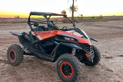 Excursion dans la palmeraie et désert de jbilat en buggy 1000cc