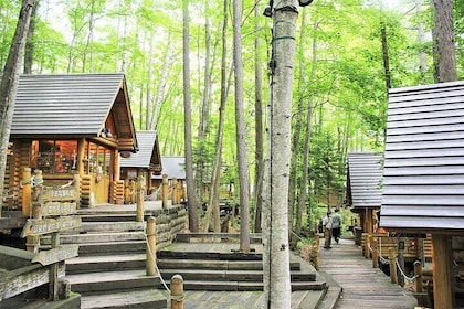 Hokkaido Asahiyama Zoo Biei Aoike Elf Terrace Day Tour | Hokkaido
