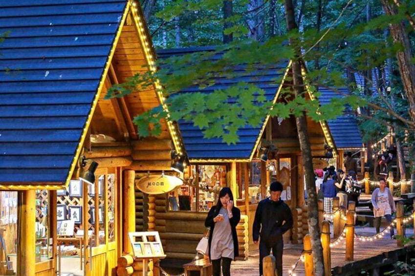 Hokkaido Asahiyama Biei Aoike Elf Terrace One-Day Tour