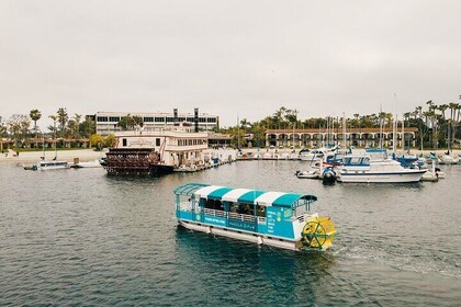 Paddle Pub San Diego Party Cruise: Drinks, Dancing, and Games