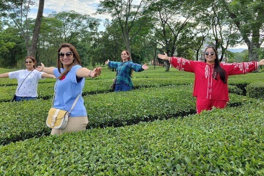 Private Tea Garden Tour & Tea Tasting Session at Palampur from. Day trips from Dharamshala