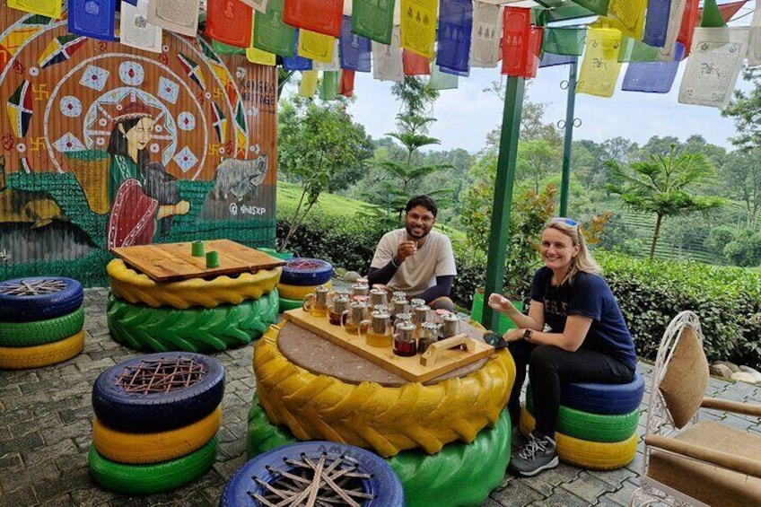 Private Tea Garden Tour & Tea Tasting Session at Palampur from. Day trips from Dharamshala