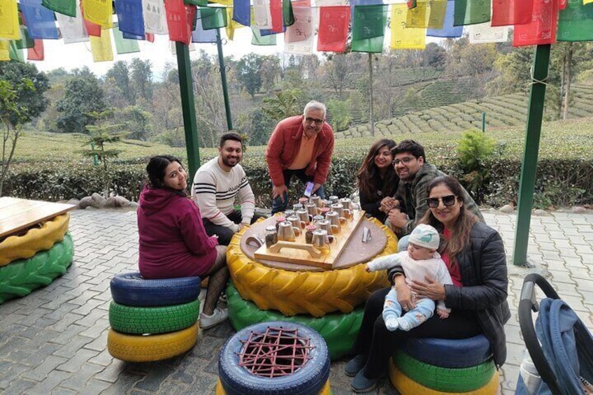 Tea Garden Tour & Tea Tasting Session at Palampur,