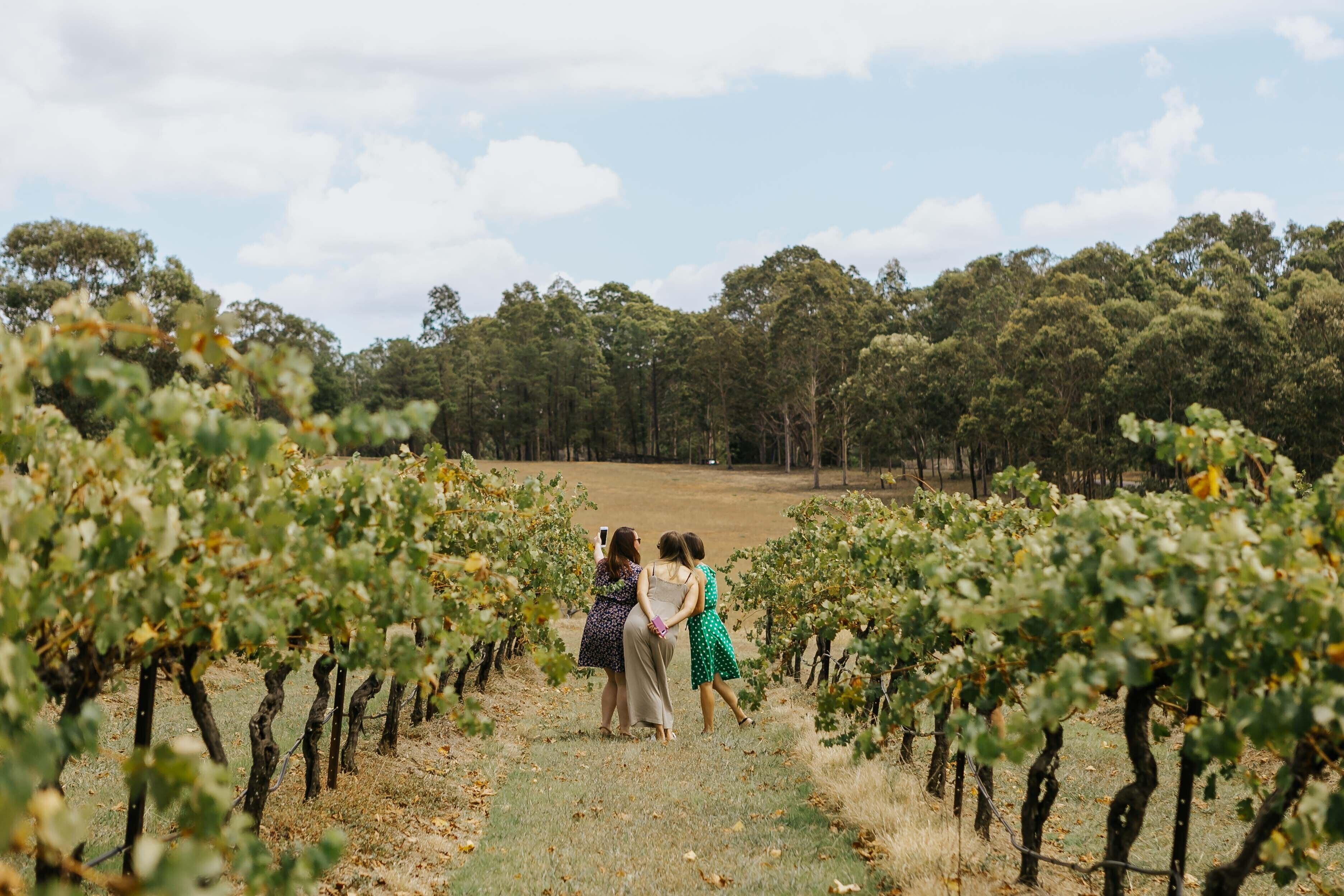 hunter valley tours for two