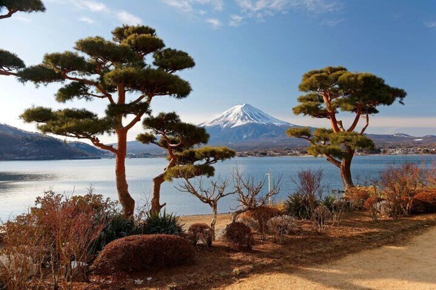 Customizable 10 Hour Private Tour from Tokyo to Mount Fuji