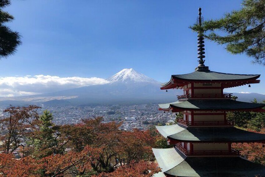 Customizable 10 Hour Private Tour from Tokyo to Mount Fuji