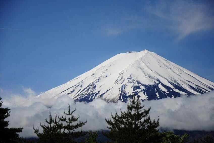 Customizable 10 Hour Private Tour from Tokyo to Mount Fuji