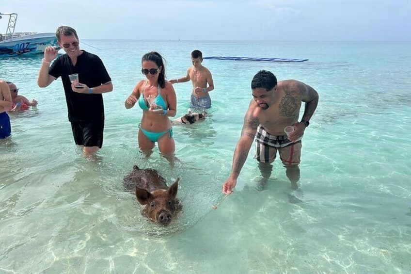All Inclusive Pig Encounter, Snorkeling, Turtles, Lunch & Beach