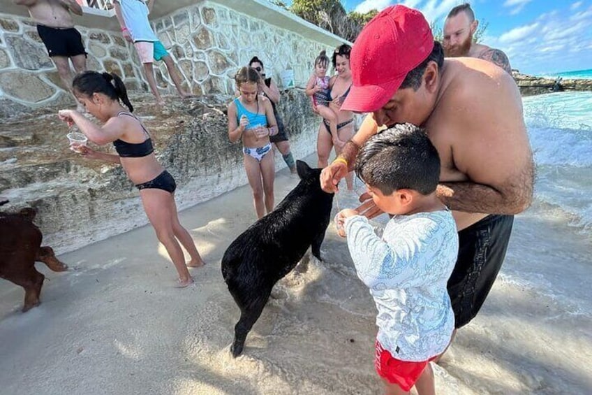 Pig Encounter!
