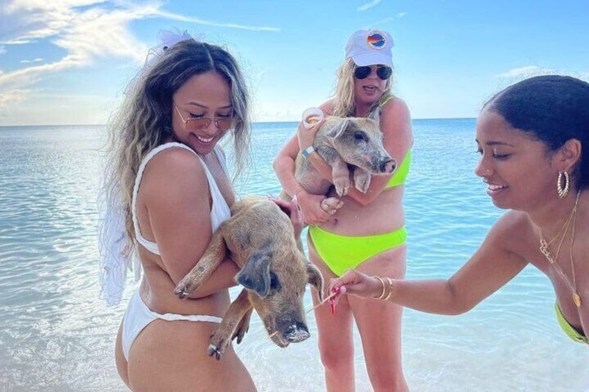 All Inclusive Pig Encounter, Snorkeling, Turtles, Lunch & Beach