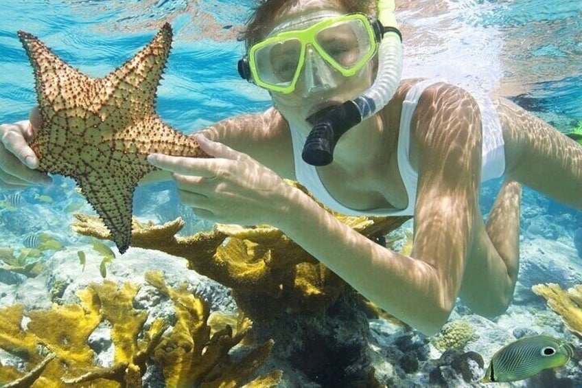 Snorkel fun!
