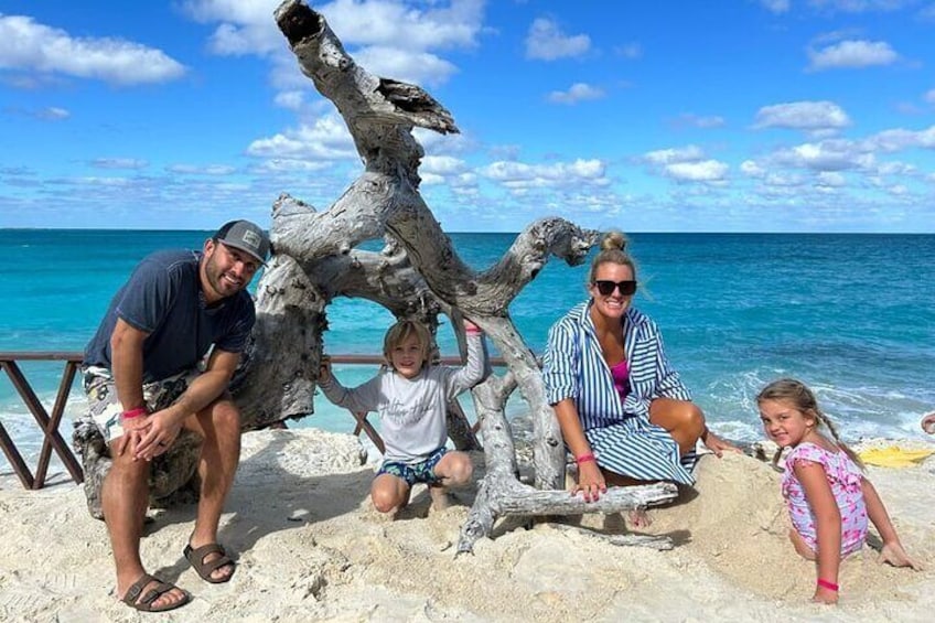 All Inclusive Pig Encounter, Snorkeling, Turtles, Lunch & Beach