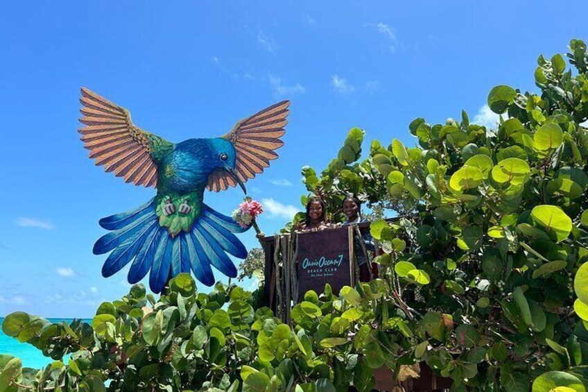 All Inclusive Pig Encounter, Snorkeling, Turtles, Lunch & Beach