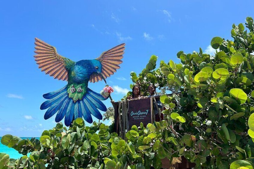 All Inclusive Pig Encounter, Snorkeling, Turtles, Lunch & Beach