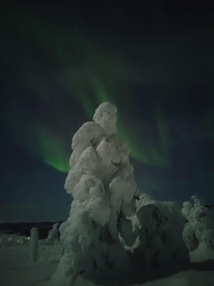 Picture 1 for Activity Levi: Search for Northern Lights in snowmobile sleigh