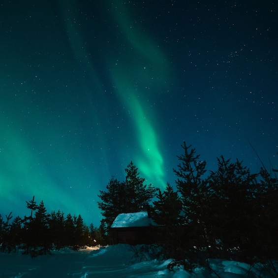 Picture 3 for Activity Levi: Search for Northern Lights in snowmobile sleigh