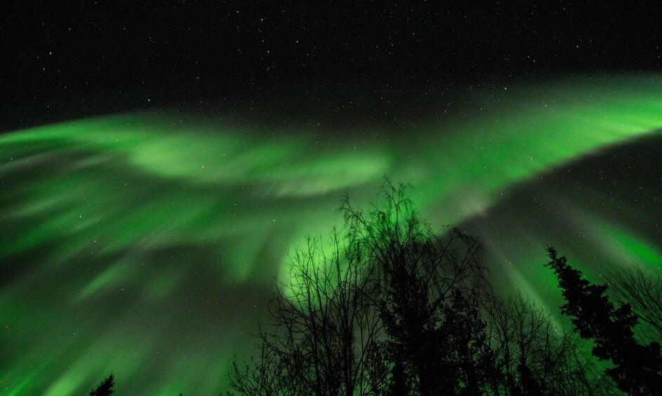 Levi: Search for Northern Lights in snowmobile sleigh