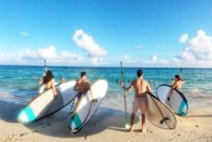 Guided Stand Up Paddleboard Tour from Elysian