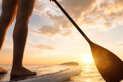 Guided Stand Up Paddleboard Tour from Elysian