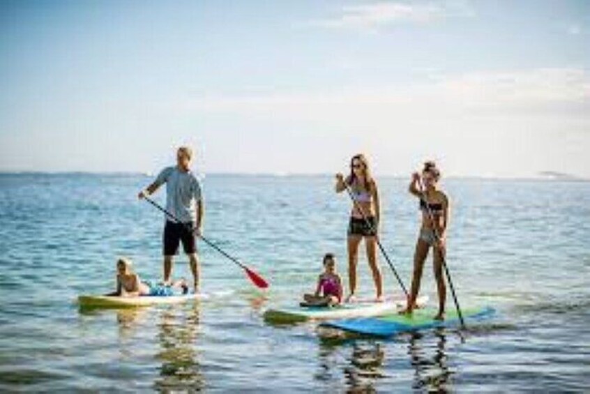Guided Stand Up Paddleboard Tour from Elysian