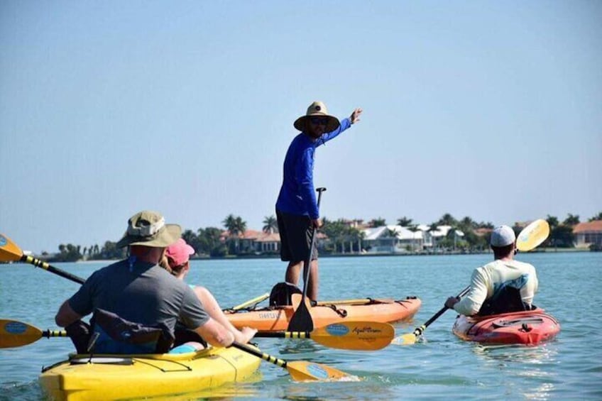 Guided Kayak Tour from Margaritaville