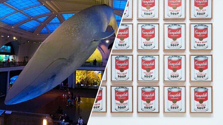 American Museum of Natural History and MOMA Combo Tickets